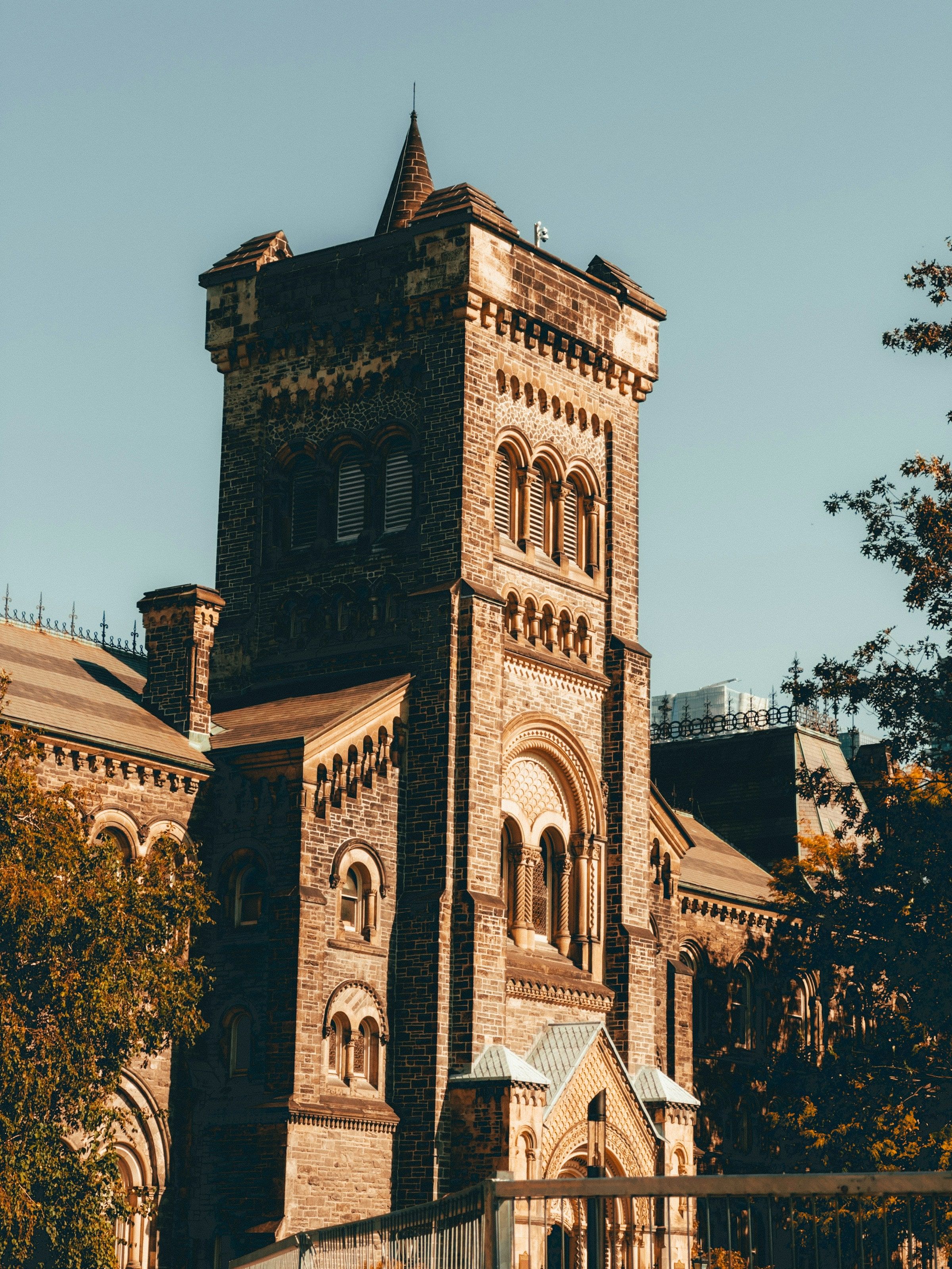 The University College tower in late sun, seen from the lawn.